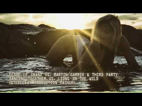 Fedde Le Grand, Martin Garrix & Third Party - Dancing Together vs Lions In The Wild [FREE DOWNLOAD]