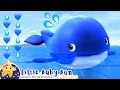 Little Blue Whale Little Baby Bum Animal Club Fun Songs For Kids