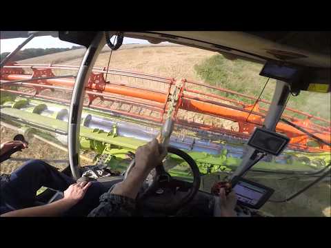 Weizen dreschen Claas Lexion 760 TT/ Cabview Teil 4