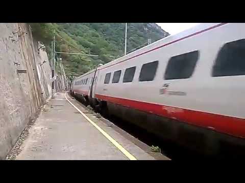 FB 8873 FRECCIABIANCA Scilla