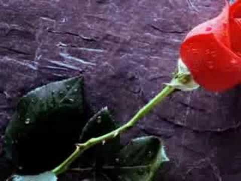 Dj GuRbeT dj safak crazy iso-nerdesin