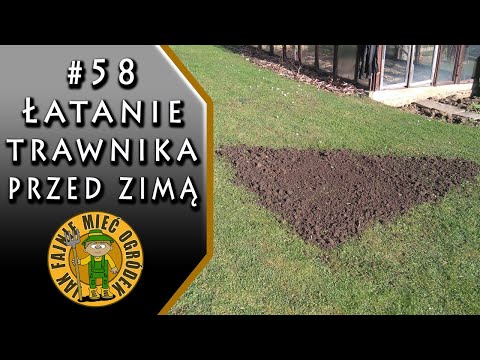 #58 Łatanie trawnika przed zimą