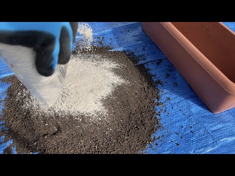 リサイクルタイヤプランターの作り方 DIYアイデア庭の装飾材料リサイクル植物