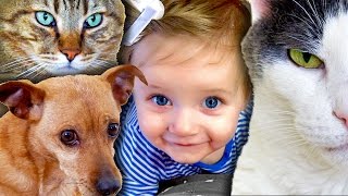 MEAN KITTY - Funny Love