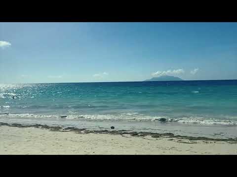 Beach Peace✌🏻#travel #youtubevideos #youtuber #travelphotography #vacation #beech #beachdrive