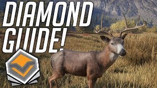 How To Find Diamonds! | theHunter: Call Of The Wild 2019