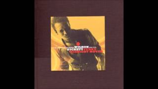 Wilson Pickett - Hold on to Your Hiney