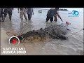Kapuso Mo Jessica Soho Dambuhalang Buwaya Nahuli Sa Simunul Tawi Tawi