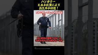 とある政策で出生率がV字回復！#ハンガリー #政治 #移民 #帰化 #出生率 #ニュース #政策 #少子化問題 #移民問題 #石破政権 #shorts