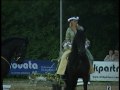 Pferdegala 50 Jahre RV Stadtlohn Friesenvorführung
