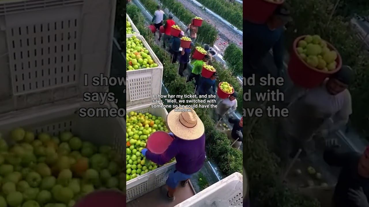 EM tried to force me to give up my airplane seat because her Angel deserved the window#redditstories