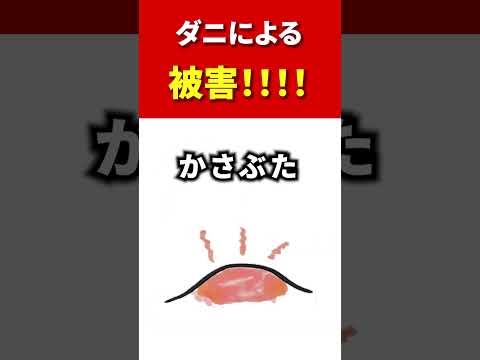 ダニを怖がらせる植物は何ですか?この夏、自然に害虫を撃退し、刺されを防ぐトップ 5 種  庭園