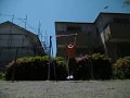 Reverse grip 100 Dips in one set 逆手ディップス100回