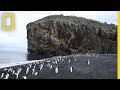 Explore Deception Island, the Active Antarctic Volcano That's Home to Penguins | National Geographic