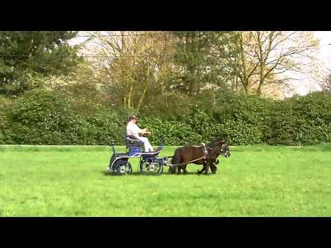 Team XS training wheeler pair Casper and Exell