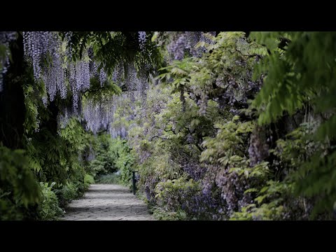 Arthur White - You Broke Me First