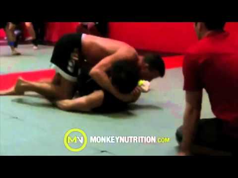 1) u73 Novice - Quarter Final 1 - TJ (The Labs) vs. Liam Davies (MMA Academy)