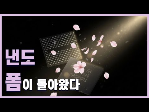 HDD 상위호환 뿐일까? 낸드 산업의 근황