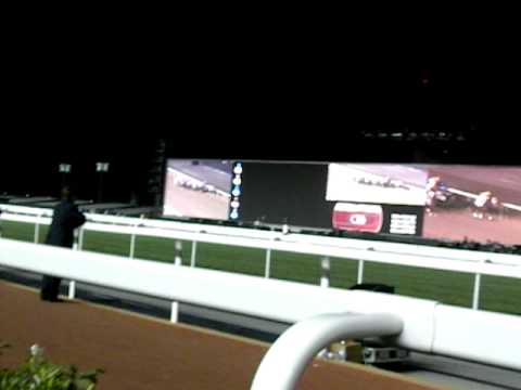 Kinsale King storms home in the Golden Shaheen