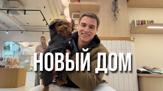 Ищем новый дом. Продажа квартиры. Будни с собакой. Бесполезный блог