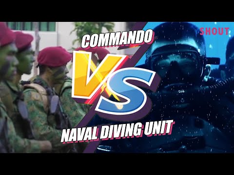 COMMANDOs VS NDUs