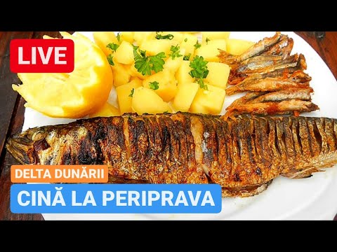 🔴 LIVE - CIORBĂ de PERIȘOARE de SOMN, CRAP PRĂJIT cu MĂMĂLIGUȚĂ și DESERT | Miruna, Periprava