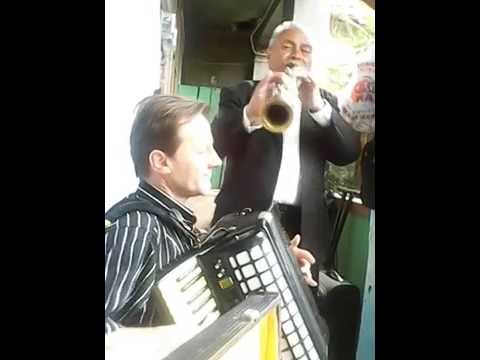 maestru ion de la padureni jud timis cu ghita de la timisoara