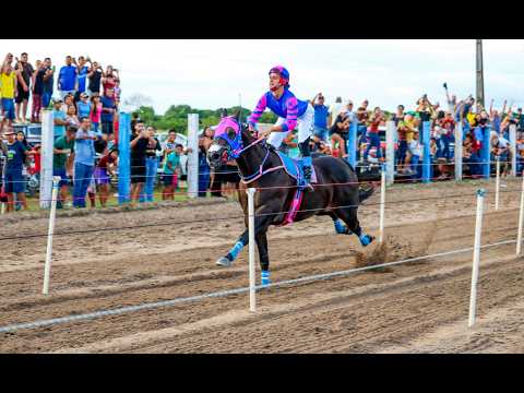 CORRIDA DE CAVALOS - DESAFIO RED HAWK SECRET X FUEGO EASE WM - BONFIM - RORAIMA - 2026