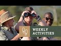 Weekly Activities Update Bushwise