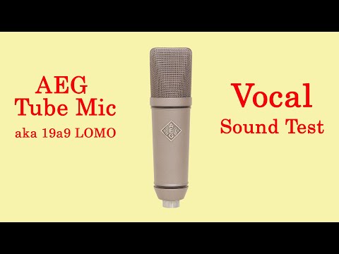 AEG Tube Microphone aka LOMO 19A9 w Vintage Parts VIDEO Test image 21