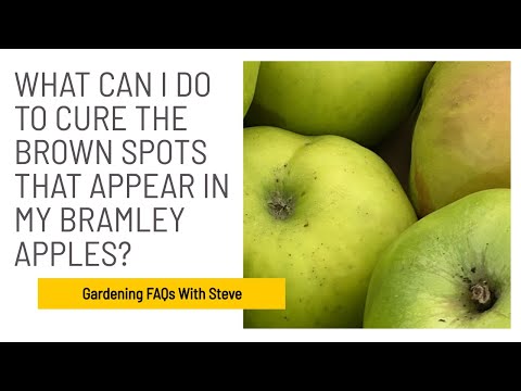 What can I do to cure the brown spots that appear in my Bramley apples?