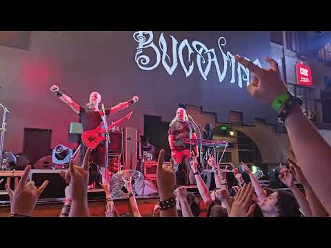 Bucovina - Mestecanis, Live 2024