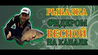 Весенняя ловля на леща фидер