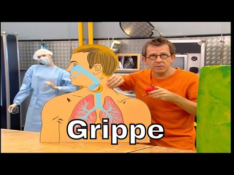 How does the flu virus work? - It's Not Rocket Science