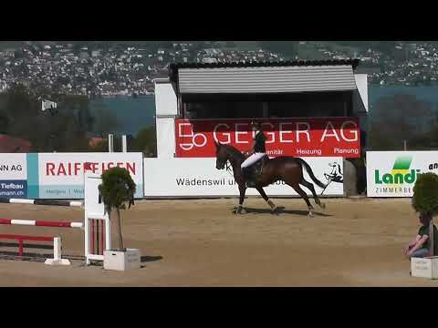 Amemmie CS Wädenswil 120cm 08.05.2016