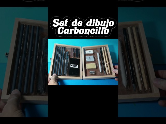 Vídeo relacionado con Lypumso Juegos de Lapices de Dibujo, 33pcs Set Carboncillo de Dibujo Profesional del Artista, Kit de Arte Lapices de Carbón Boceto Carboncillos para Artista Principiante