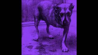 Alice In Chains - Heaven Beside You (Explicit) (1995 CD Audio)