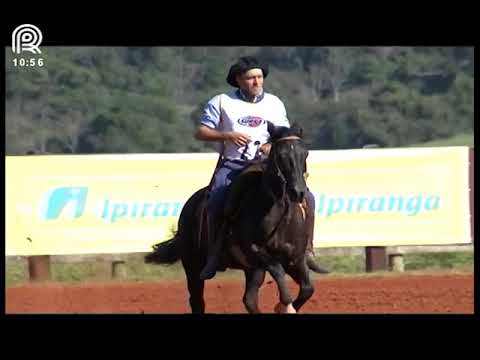 Classificatória Região SC/PR – 1° lugar fêmeas – Orquídea Negra Mapocho (Prova: Bayard/Sarmento)