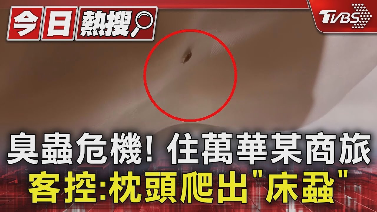 臭蟲危機!住萬華某商旅 客控:枕頭爬出「床蝨」
