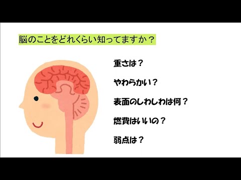 藍野大学 作業療法学科　模擬講義「体感しよう！見てみよう！脳トレの効果」