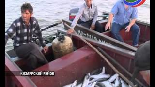 Рыбалка на старом тереке