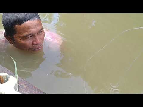 TRADITIONAL FISHING LABAY OR KITANG DAMI HULI CATFISH AT OGDOK