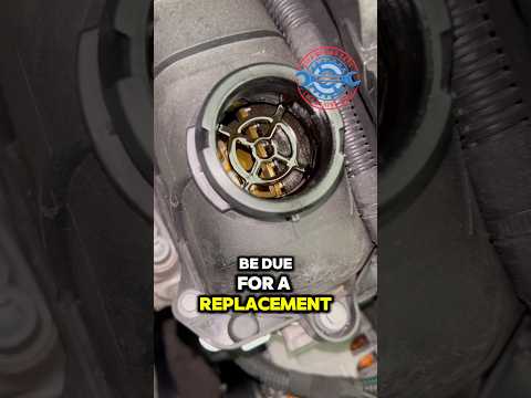 Is this one-year-old Citroën C3 PureTech’s wet belt due for replacement? 🤔🔧 #Citroen #C3PureTech