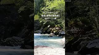 Download lagu サン=サーンス:組曲「動物の謝肉祭」のオマージュ曲 mp3 Download lagu サン=サーンス:組曲「動物の謝肉祭」のオマージュ曲 mp3