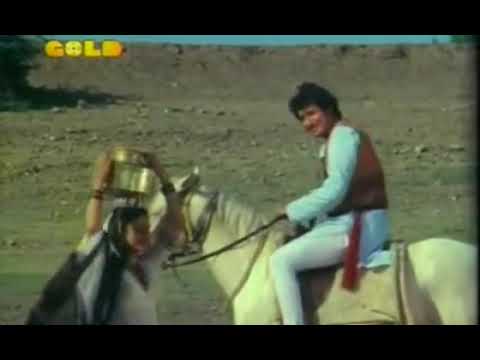 Gujrati song sonlanu bedlu tari rupani indhoni