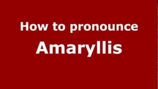 How to pronounce Amaryllis