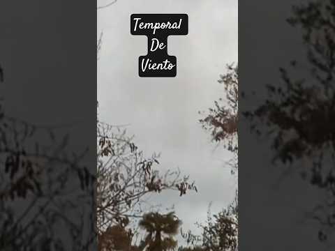 Temporal de Viento Molina región del Maule Chile. #chile