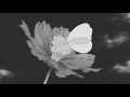 Xxxtentacion Bad Slowed Reverb
