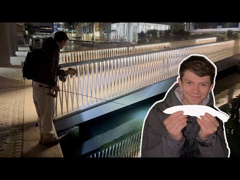 CATCHING mini MONSTERS; the ultimate PREDATOR