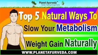 Top 5 Natural Ways To Slow Your Metabolism | Weight Gain Naturally